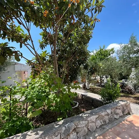Vitomir Apartment