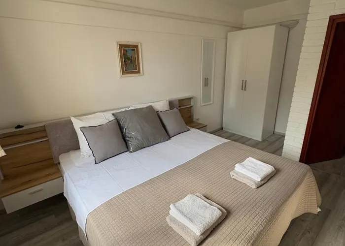 Διαμέρισμα Vitomir *